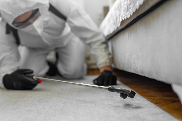 Professional Pest Control technician working in Wadena County County, MN